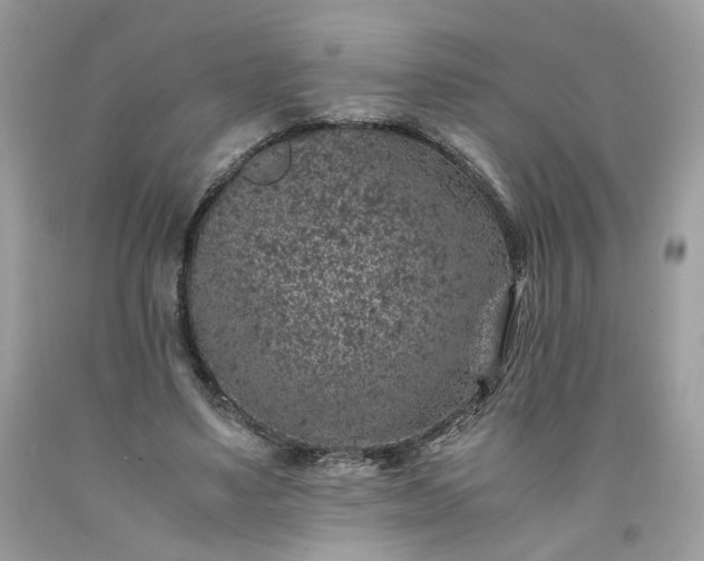 X0000091650491200709061002