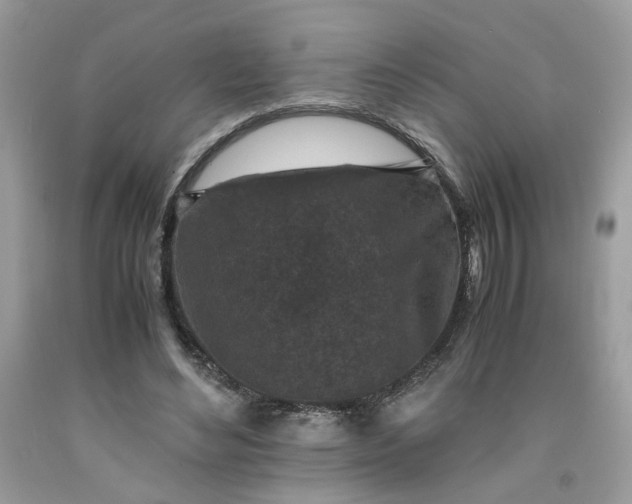 X0000091650492200709061002