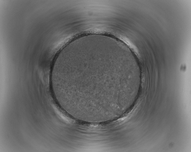 X0000091650493200709061002