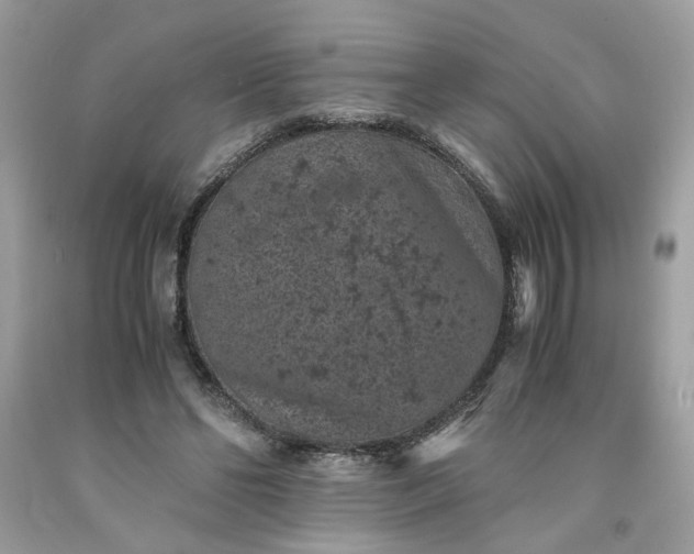 X0000091650494200709061002