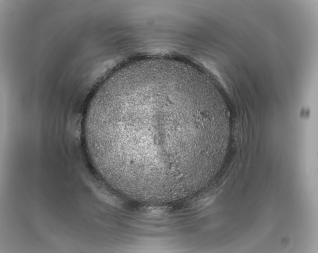 X0000091650495200709061002