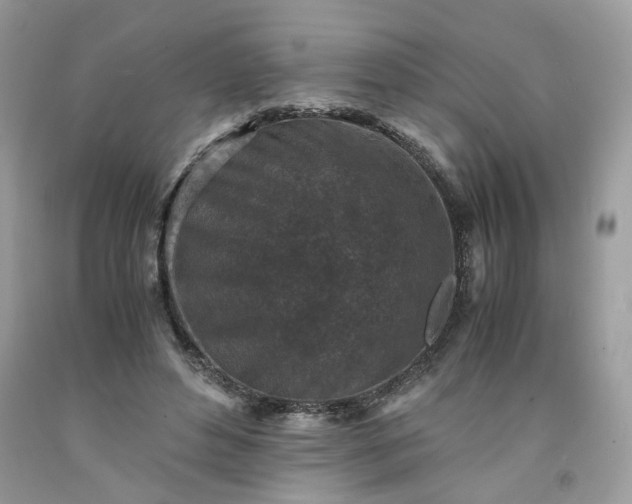 X0000091650496200709061002