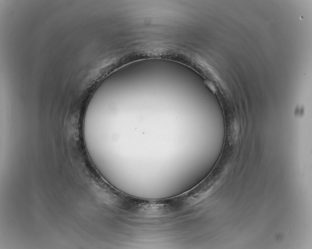 X0000091650497200709061002