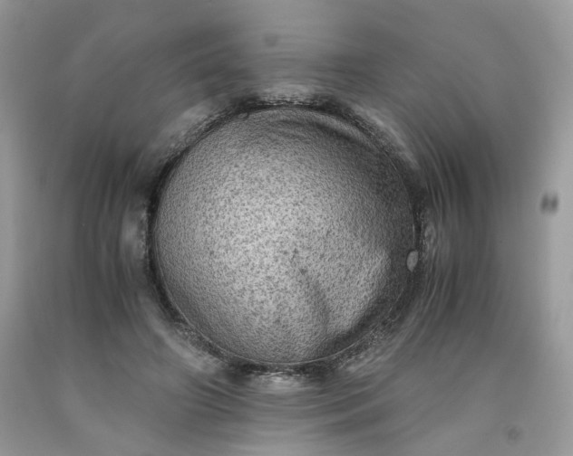 X0000091650498200709061002