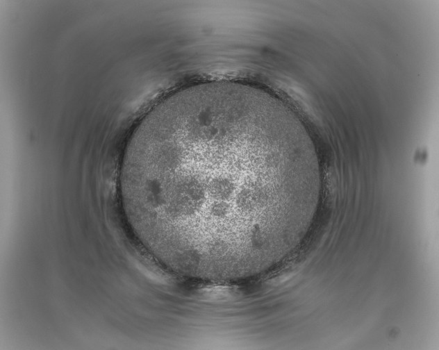 X0000091650499200709061002