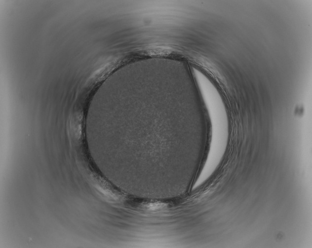 X0000091650501200709061002