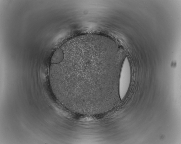 X0000091650503200709061002