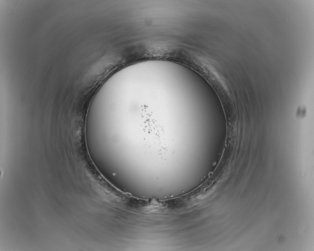 X0000091650505200709061002