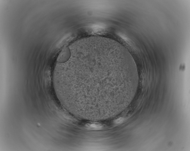 X0000091650506200709061002