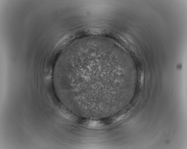 X0000091650507200709061002