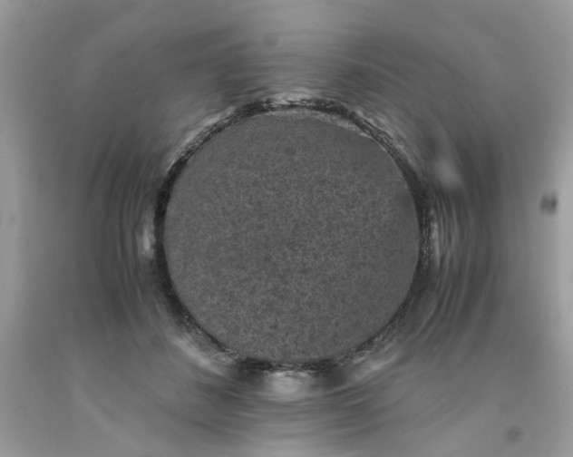 X0000091650508200709061001