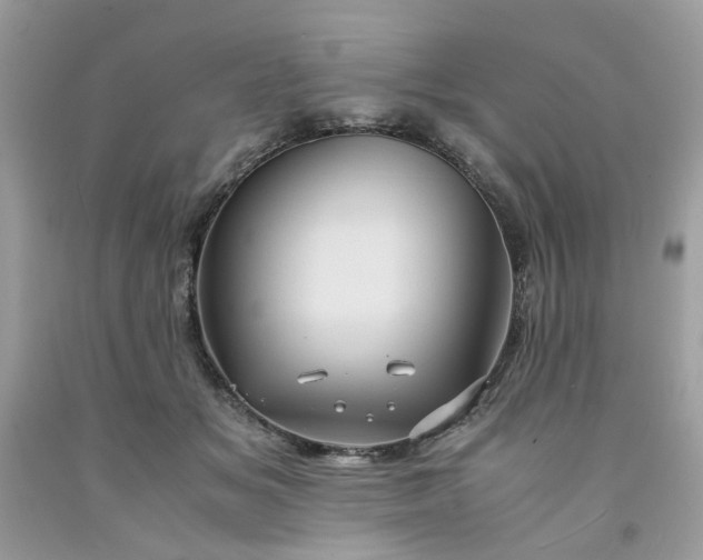 X0000091650509200709061001