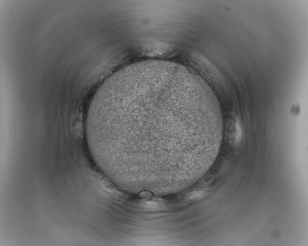 X0000091650510200709061001