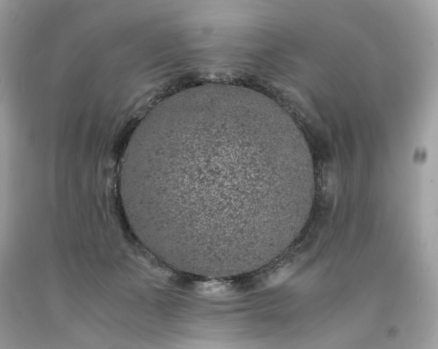 X0000091650511200709061001