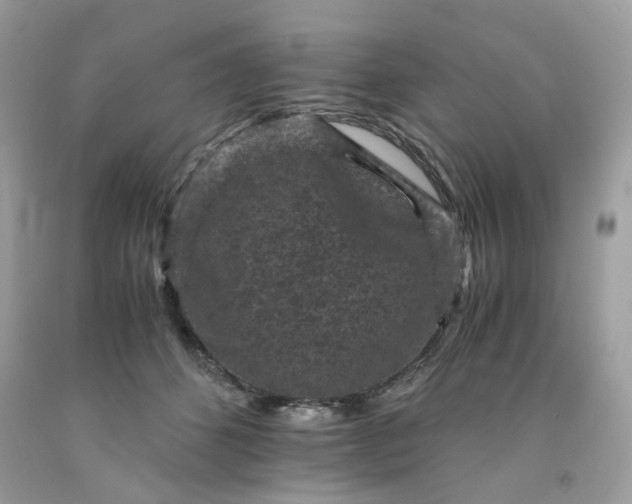 X0000091650512200709061001