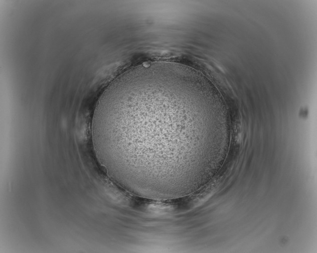 X0000091650515200709061001