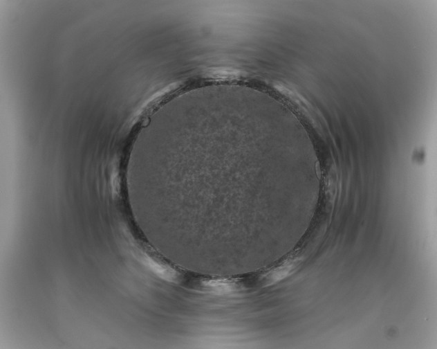 X0000091650516200709061001