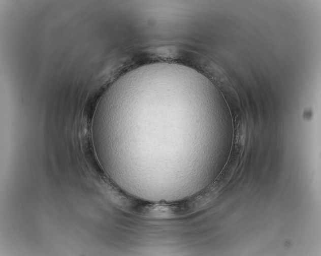 X0000091650518200709061001