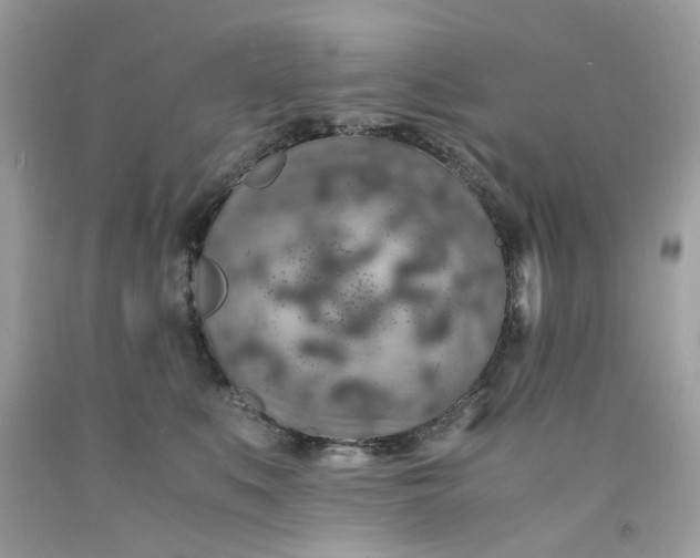 X0000091650519200709061001