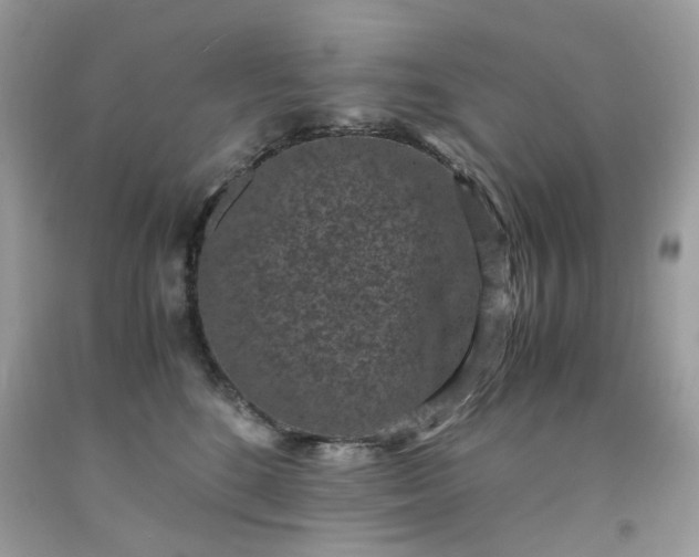 X0000091650520200709061001