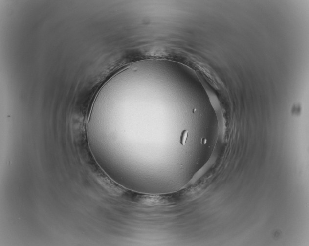 X0000091650521200709061001