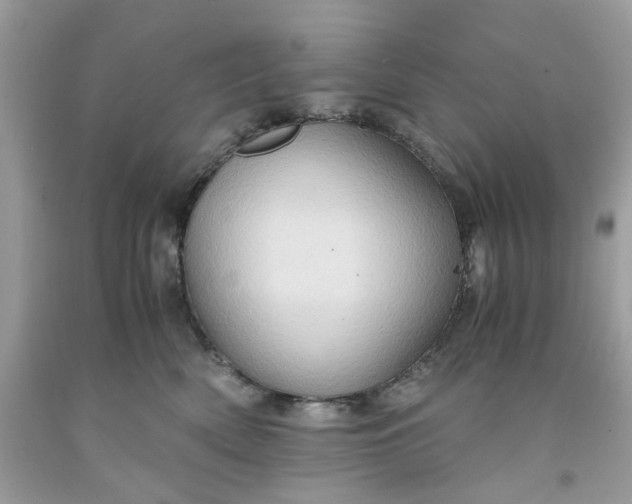 X0000091650522200709061001