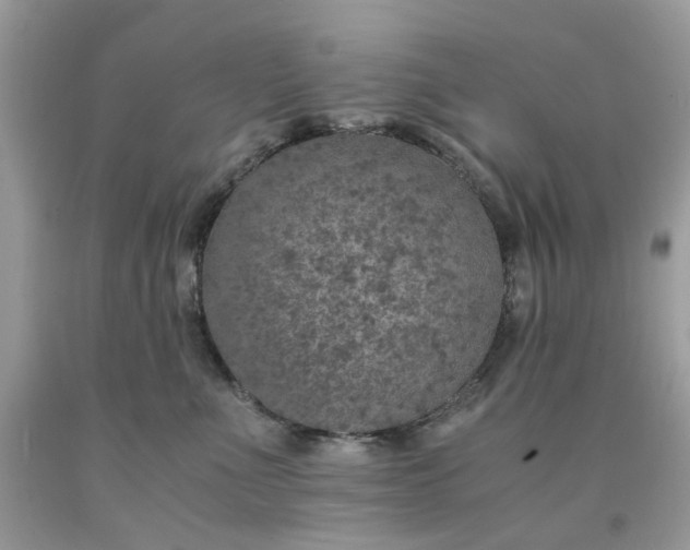 X0000091650523200709061001