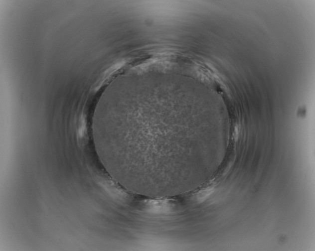 X0000091650524200709061001