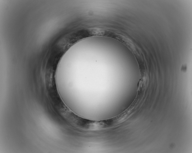 X0000091650525200709061001