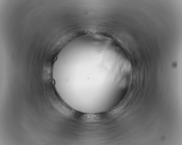 X0000091650526200709061001