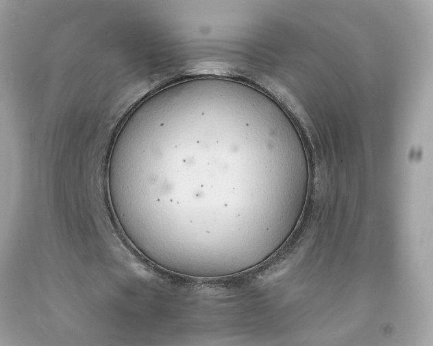 X0000091650529200709061001