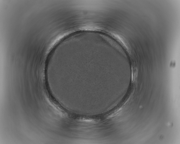 X0000091650531200709061001