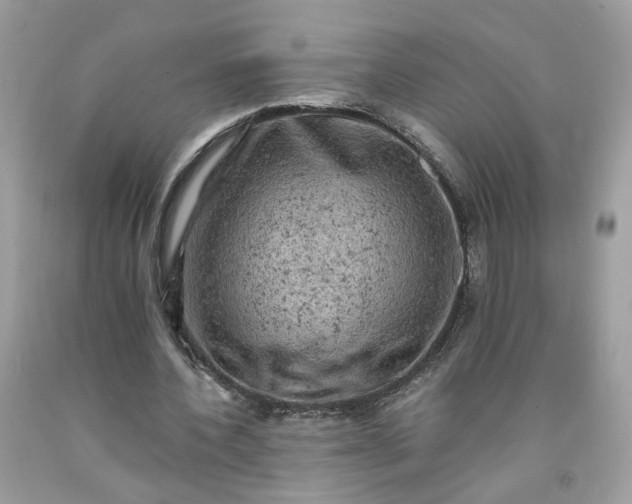 X0000091650532200709061001