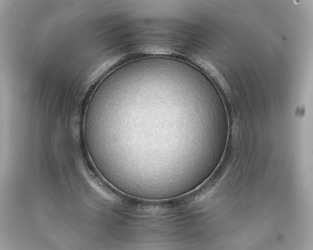 X0000091650533200709061001