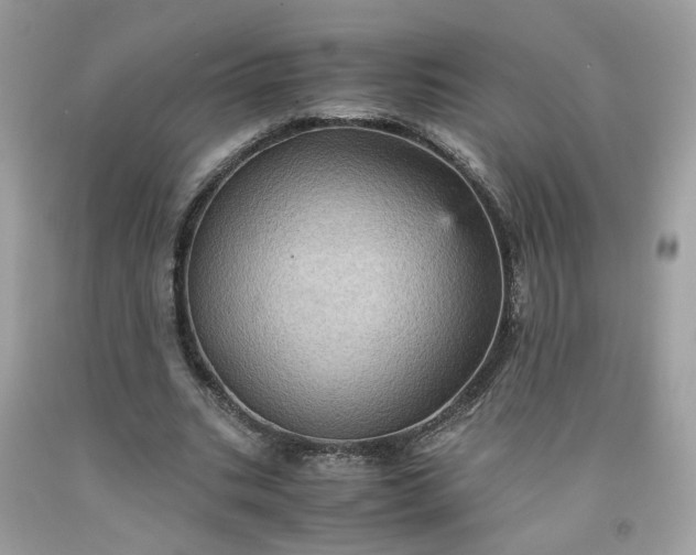 X0000091650535200709061001