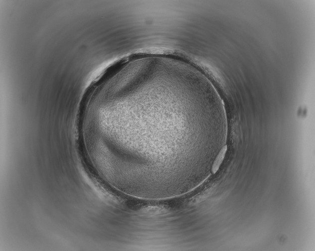 X0000091650536200709061001