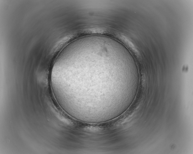 X0000091650537200709061001