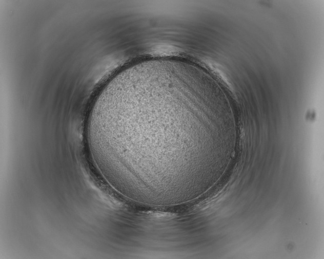 X0000091650539200709061001