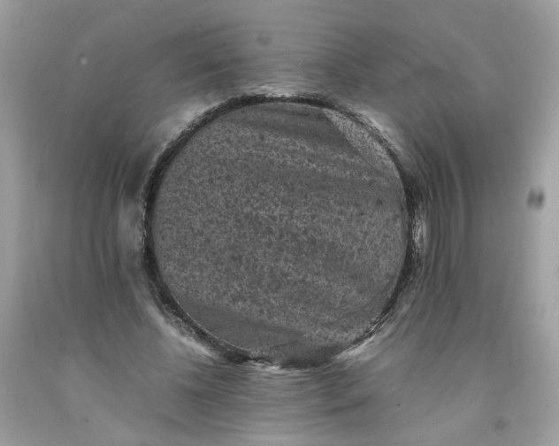 X0000091650540200709061001