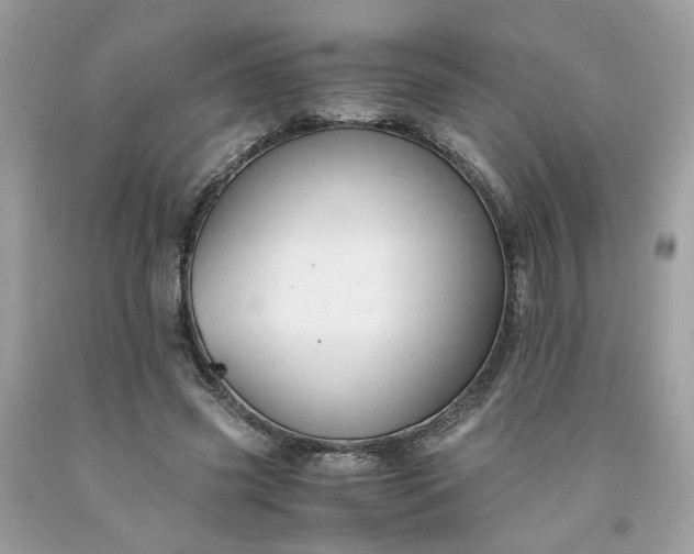 X0000091650541200709061001