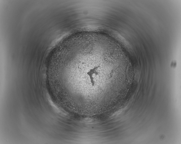 X0000091650542200709061001