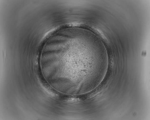 X0000091650543200709061001