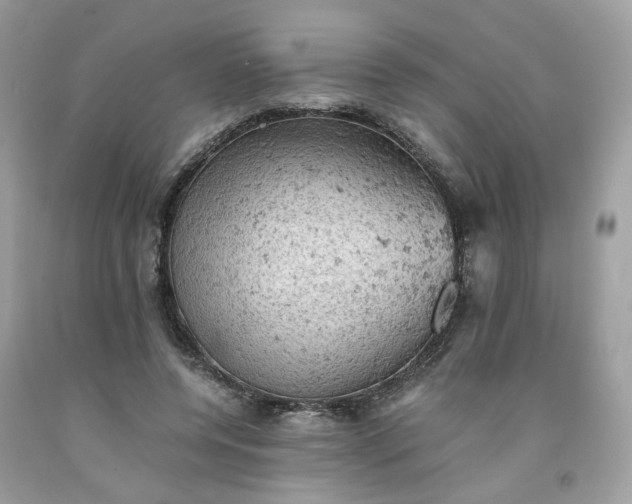 X0000091650544200709061001