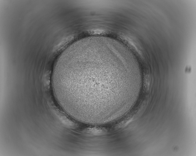 X0000091650545200709061001