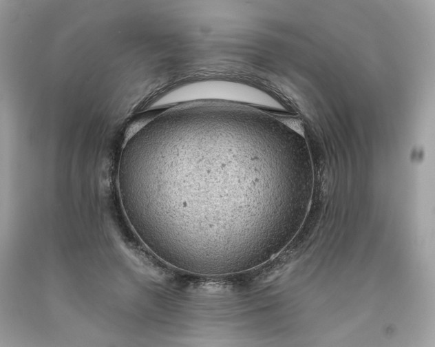 X0000091650546200709061001