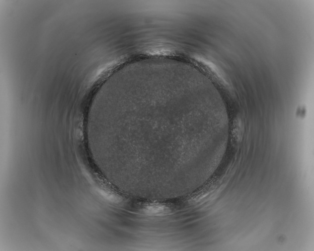 X0000091650547200709061001