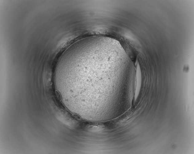 X0000091650548200709061001