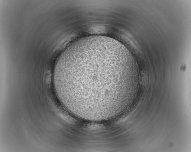 X0000091650549200709061001