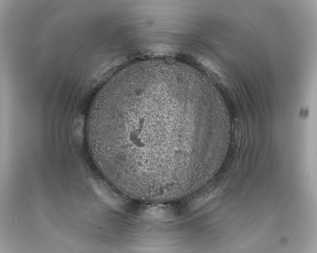 X0000091650550200709061001