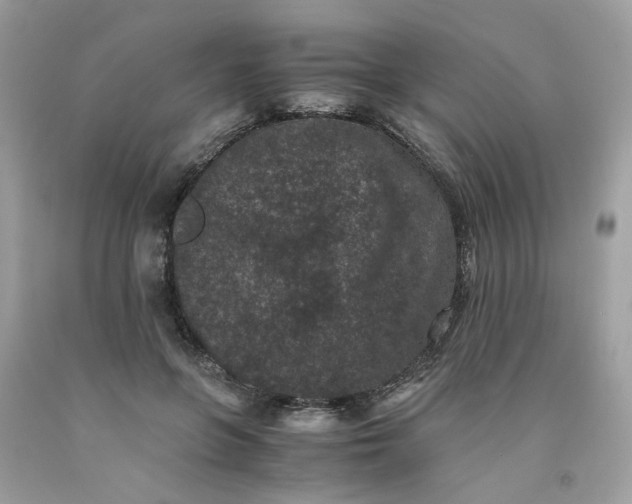 X0000091650551200709061001